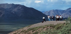 Denali National Park Photo