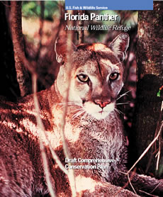 Florida Panther Conservation Plan