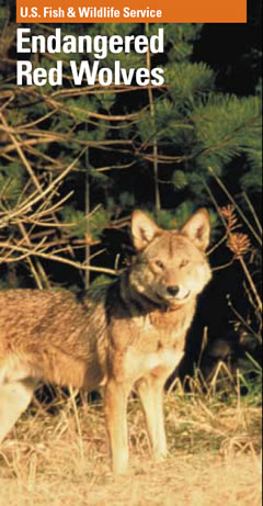 Red Wolf PDF Cover Photo