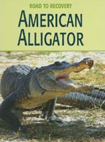 American Alligator Book