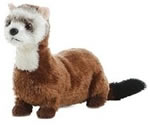 Ferret 8 inch Mini-Flopsie