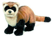 Black Footed Ferret Plush 20in