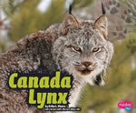 Canada Lynx Book