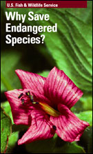 Why Save Endangered Species Ebook